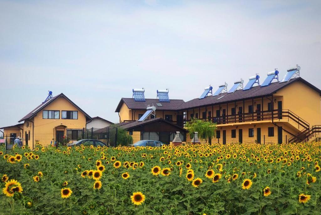 Hotel Casa De La Corbu Zewnętrze zdjęcie